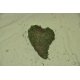 Machové srdíčko 