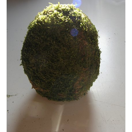 Machové vajce 15 cm 