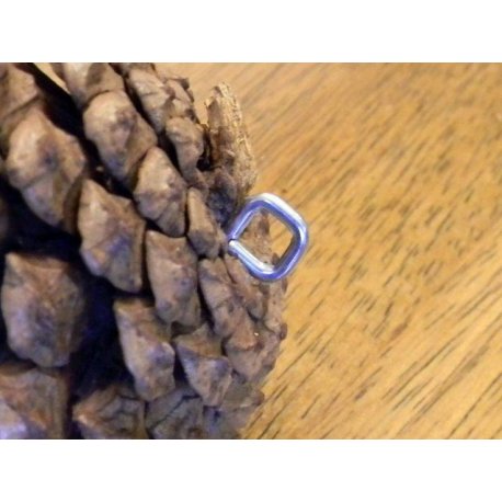 šišky borovicové s očkem 